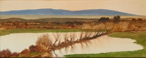 Západ slunce nad rybníkem (olej na palubě) od Charles Hutton Lear