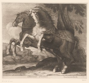 chov koní Chevaux Tartare (název na objektu) Zvířecí série (název série)