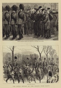 Royal Review of the Troops from Egypt od Charles J. Staniland