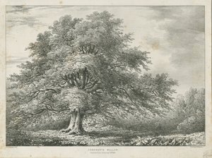 Lichfield - ["Dr. Johnson"] Willow Tree: litografie, nd [1789-1850]