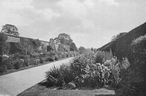 Hranice bylinné (černobílá fotografie) od Charles Latham