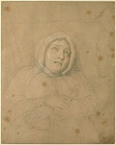Markýza de Brinvilliers na cestě na smrt od Charles Le Brun