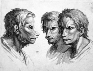Tři tváře vlkodlaka (vlkodlaka) - od Le Bruna od Charles Le Brun