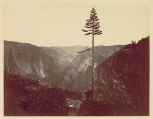 Yosemitské údolí z Mariposa Trail, c. 1865. od Charles Leander Weed