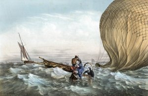 Míč Habs od Charles Leduc