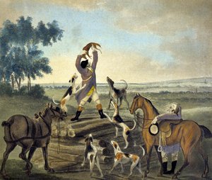 Who...op, Was Never So Carried, z knihy The Pytchley Hunt, vyryl F. Dukes