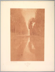 Suite of Landscapes: Landscape, Plate 2, Note, Starflowers od Charles Marie Dulac