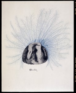 Otcovský klobouk - „La Mode en 1912“ od Marcelle Demay, ilustrace Charles Martin (1884-1934) od Charles Martin