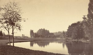 Bouloňský lesík, 1858 (foto) od Charles Marville