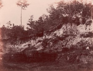 Lom, 1850-53. od Charles Marville