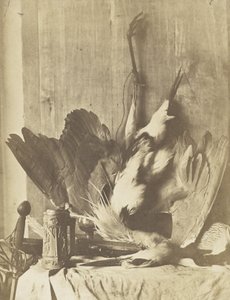 Game Still Life, c.1853-55 (tisk na albumenizovaném slaném papíře) od Charles Marville