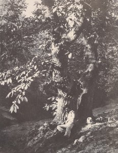 Muž ležící na úpatí kaštanu, 1850-53. od Charles Marville