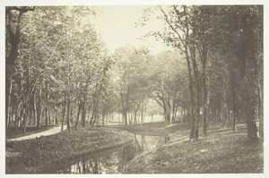 Bez názvu, c. 1850. [Stromy u vody v Bois de Boulogne, park v Paříži]. od Charles Marville
