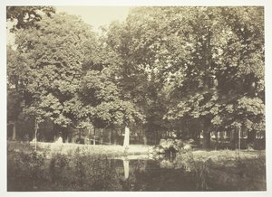Bez názvu, c. 1850. [Stromy u vody v Bois de Boulogne, park v Paříži]. od Charles Marville