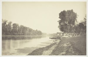 Bez názvu, c. 1850. [Stromy u vody v Bois de Boulogne, park v Paříži]. od Charles Marville
