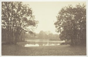 Bez názvu, c. 1850. [Stromy u vody v Bois de Boulogne, park v Paříži]. od Charles Marville