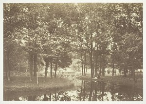 Bez názvu, c. 1850. [Stromy u vody v Bois de Boulogne, park v Paříži].