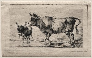 Kráva a osel, 1849. od Charles Meryon
