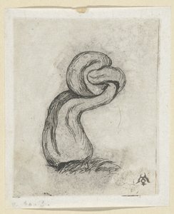 Misvormde paddestoel (Cryptogamae) Kryptohra Malingre od Charles Meryon