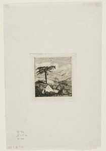 Chalupa starého vojáka, Akaroa, 1845 od Charles Meryon