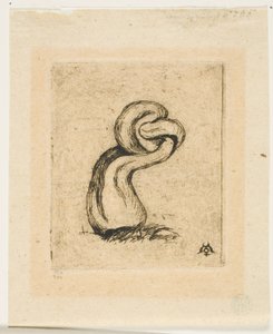 Sickly Cryptogam od Charles Meryon