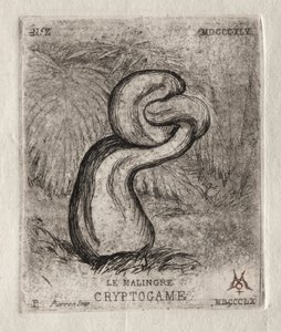 Sickly Cryptogam od Charles Meryon