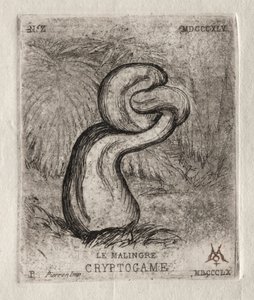 The Sickly Cryptogam, 1860. od Charles Meryon