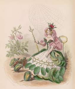 Animované květiny, 1867.