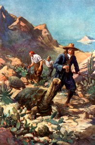 Obří želvy z Galapágských ostrovů od Charles Mills Sheldon