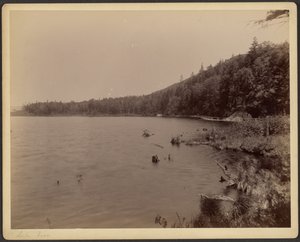 Jezero Saco od Charles P. Hibbard