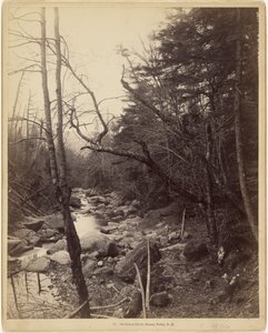 Na řece Baker River, Breezy Point, N.H. od Charles P. Hibbard