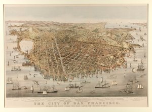 Město San Francisco - Pták od Charles Parsons