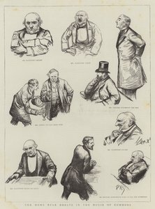 Home Rule Debata v Dolní sněmovně od Charles Paul Renouard