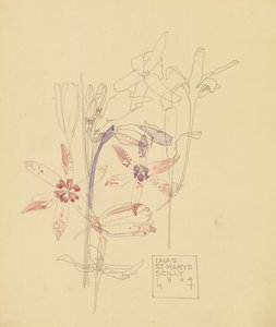 Ixias od Charles Rennie Mackintosh