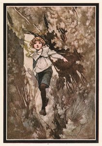 Chlapec jím prorazil plnou rychlostí od Charles Robinson