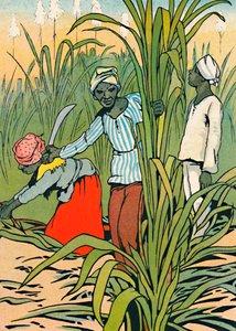 Při práci mezi cukrovou třtinou, 1912 od Charles Robinson