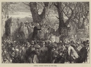 Nemocniční sobotní setkání v Hyde Parku od Sir John Charles Robinson