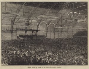 Messers Moody a Sankey v Agricultural Hall, Islington od Sir John Charles Robinson