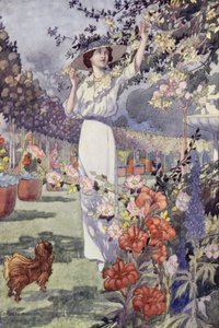 Naše sentimentální zahrada: Hemicycle (barva lito) od Charles Robinson