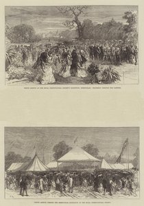 Princ Arthur na výstavě Royal Horticultural Society v Birminghamu od Sir John Charles Robinson
