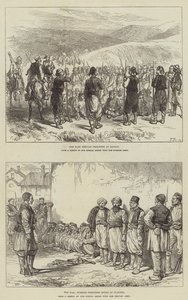 Náčrtky války od Sir John Charles Robinson