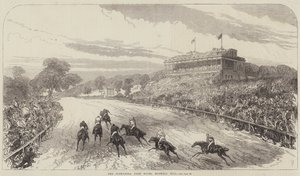 Závody Alexandra Park, Muswell Hill od Sir John Charles Robinson