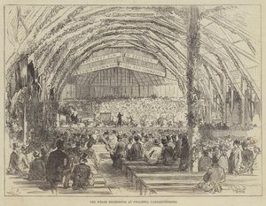 Velšský Eisteddfod v Pwllheli, Carnarvonshire