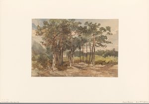 Skupina stromů v lese poblíž Driebergen od Charles Rochussen