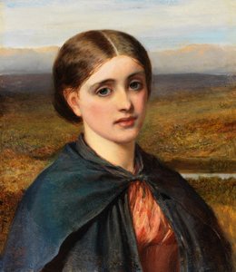 Studie irské hlavy, 1866