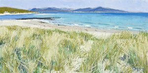 Plážové trávy, Berneray, 2011 (olej na plátně) od Charles Simpson