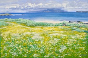 Machair, North End Iona, 2015 (olej na plátně) od Charles Simpson