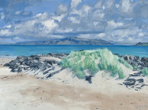 Skály a trávy, Iona, 2013 (olej na plátně) od Charles Simpson