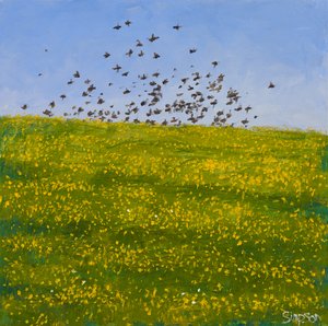 Starlings  Buttercups, Iona, 2015 (olej na plátně) od Charles Simpson