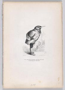 Starý, zlomený, vyčerpaný, rozmarný, přesto dobrý, přesto oddaný a domácí povahou..., ca. 1837-47.